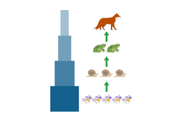 BiomassTrophicLevels