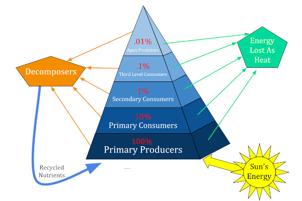 EcologicalEnergy