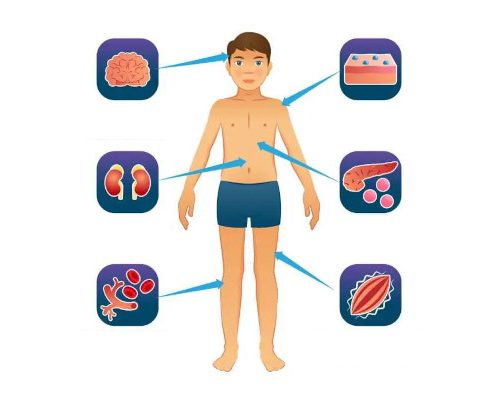 Protected: Homeostasis and Feedback Mechanisms