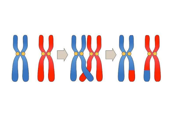 InheritableGeneticVariation