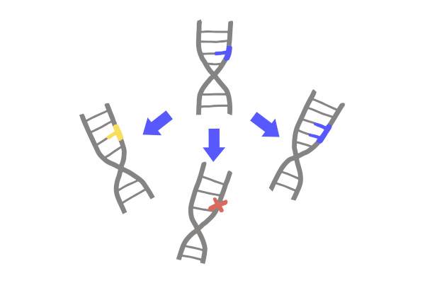 Mutation